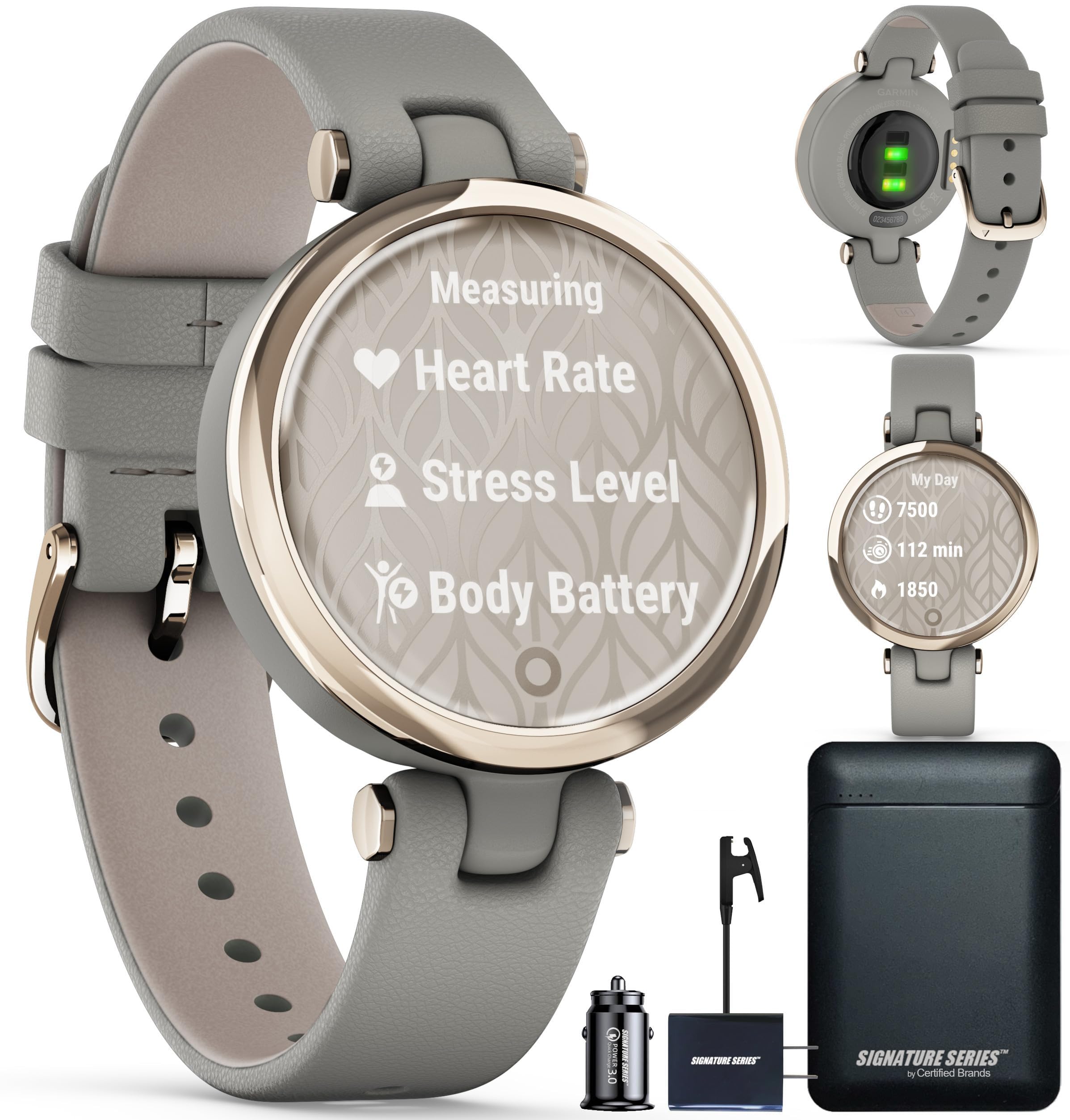 Amazon.com: Garmin Lily Classic Small GPS Touchscreen Smartwatch