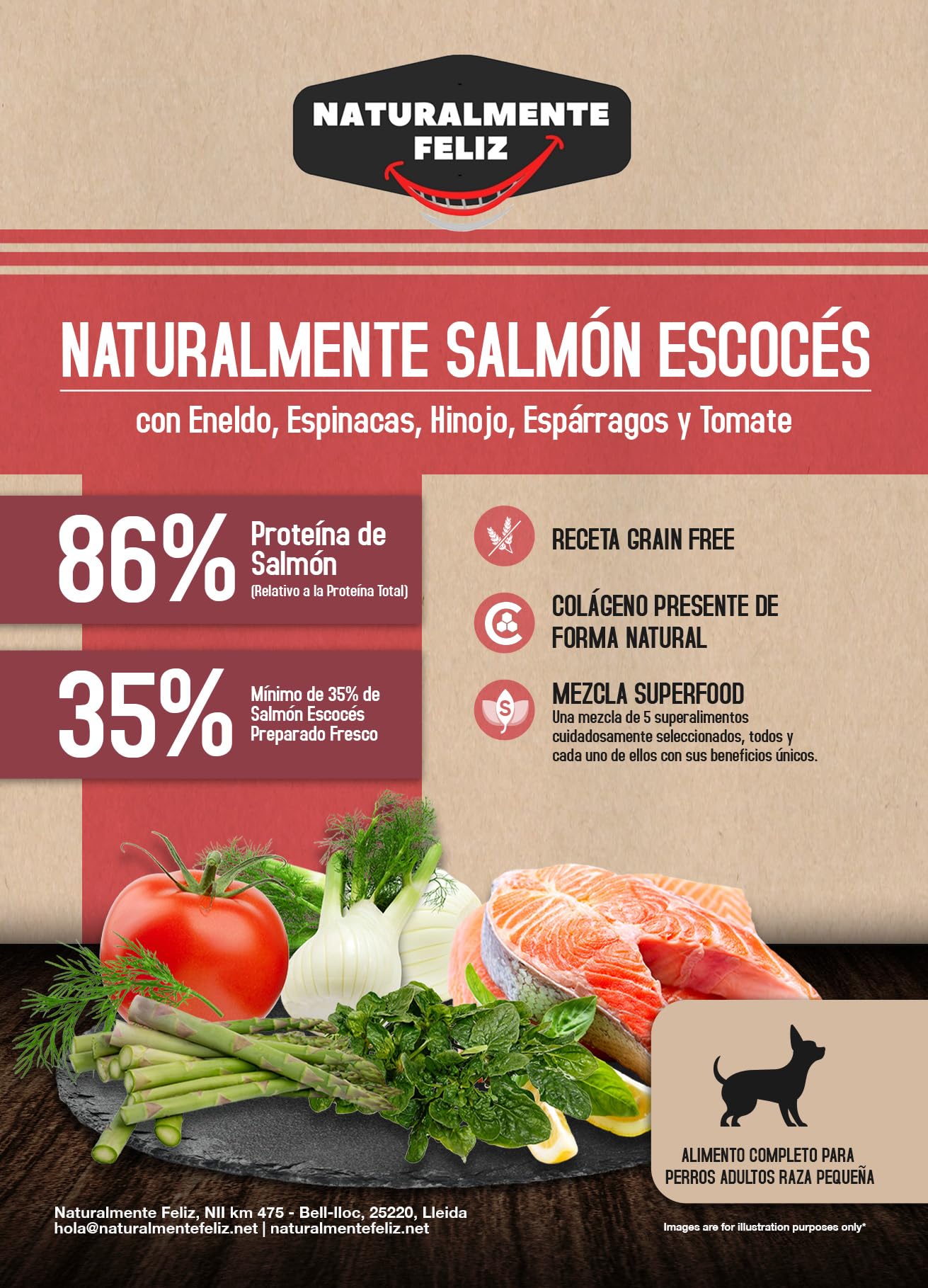 Naturalmente Feliz - Pienso Seco para Perros Pequeños 100% Natural 2kg - Hipoalergénico, Rico en Omega 3 con Salmón Escocés y Super Alimentos
