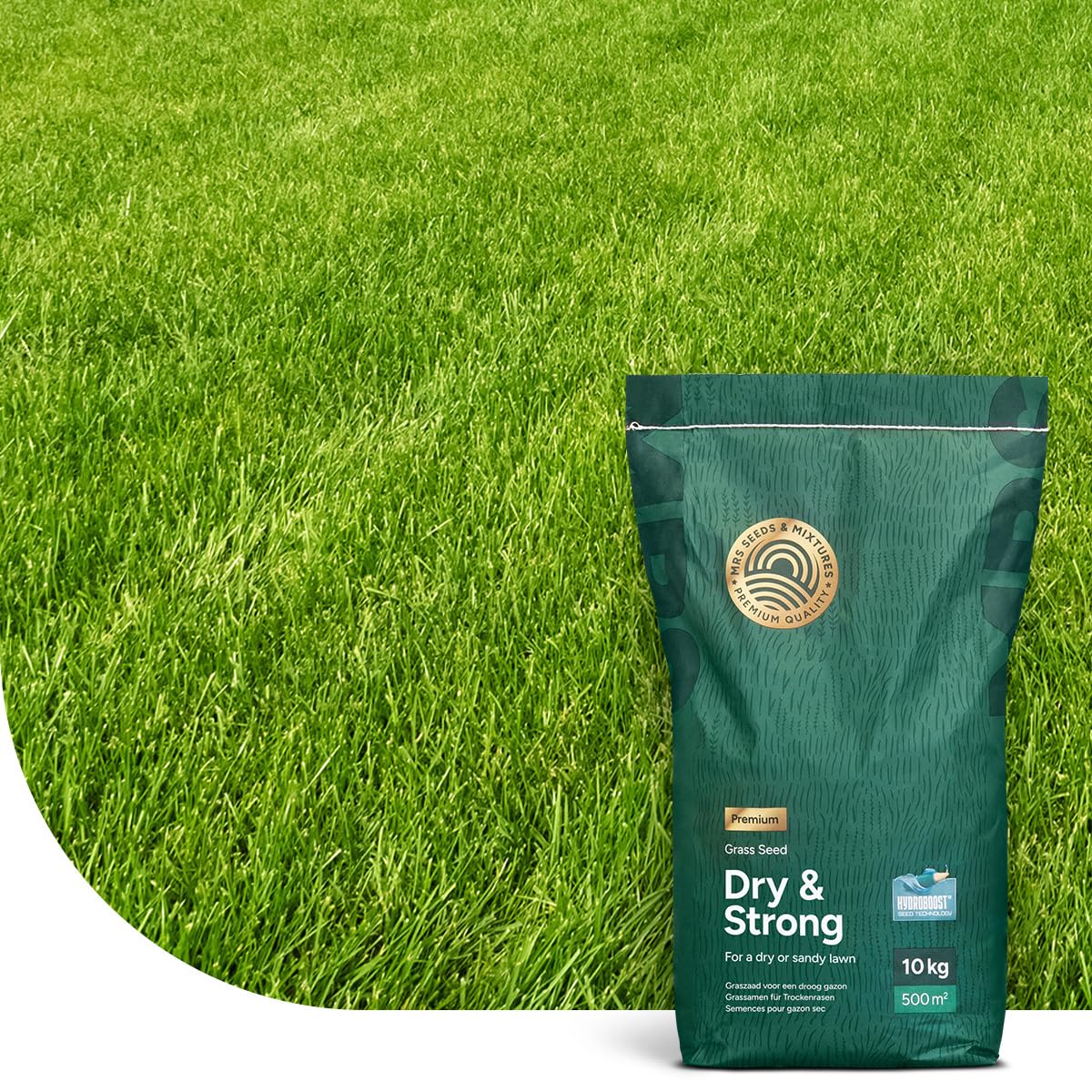 Dry & Strong: Trockenheitsresistenter Rasen – 10 Kilo für 500 m² – Hochwertiger Rasen für trockene Böden – Spart Wasser und Kosten – Mit Hydroboost™-Beschichtung