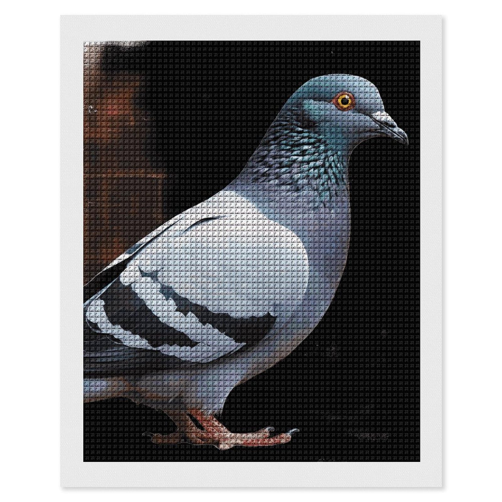 FodPand Pigeon 5D Diamond Painting Kits for Adults Beginners Full Drill Square Diamond Dots Pictures Gem Art Supplies for Home Wall Room Decoration DIY Craft Set Gift 16x20