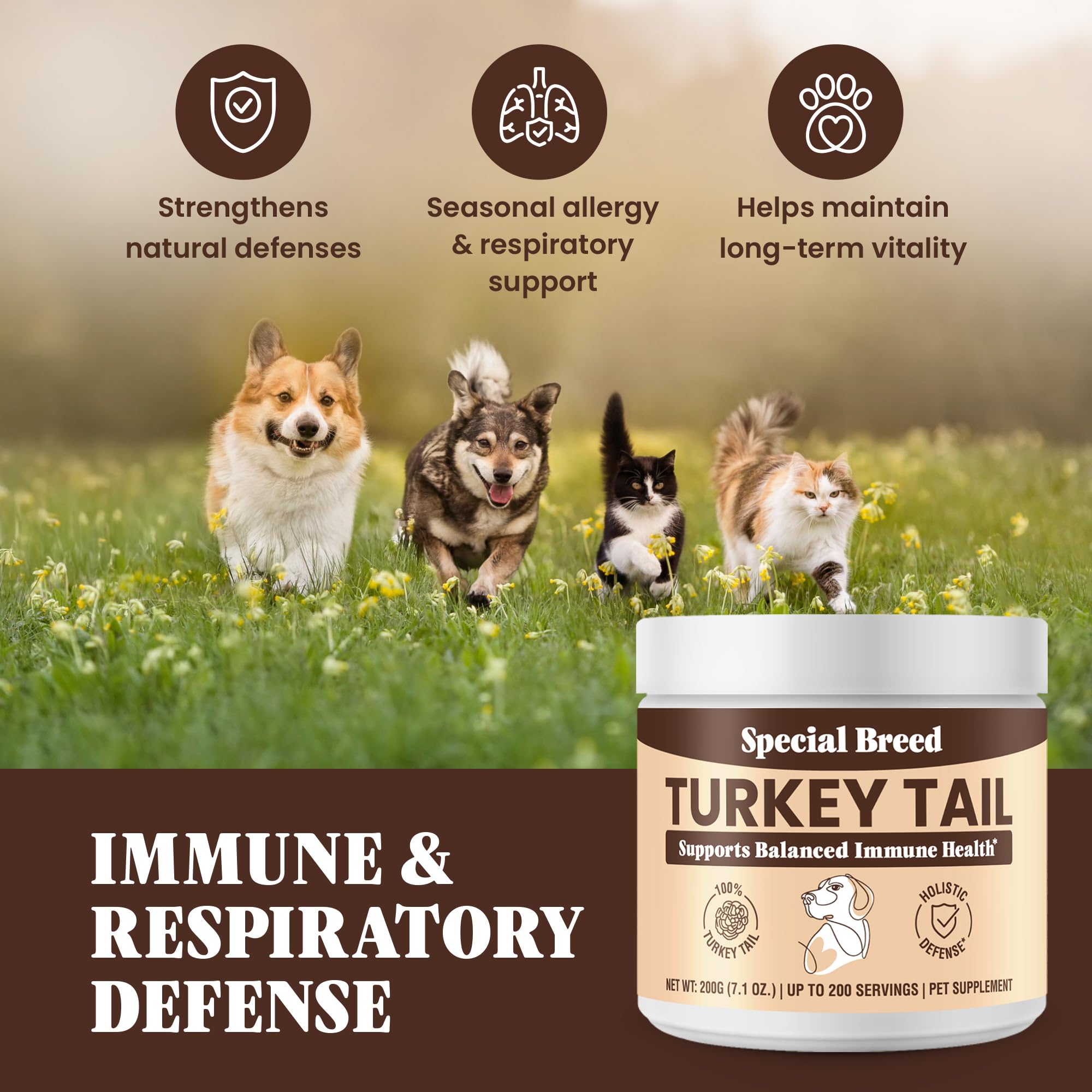 Organic Turkey Tail Mushroom for Dogs and Cats, Immune Support with Beta Glucans and Polysaccharides, Digestive and Respiratory Health, Pure Mushroom Powder, No Fillers, 200 ct — Amazon image 5