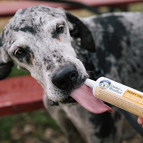 Vista 46 de Under The Weather Pet Cal listo para gatos de 100 cc Suplemento alto en calorías Ganador de peso para gatos y refuerzo alto en calorías 10