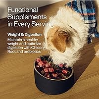 Vista 4 de Maev Alimento para perros de carne de res de grado humano, fórmula para peso y digestión, ingrediente entero, sin gluten, alto en proteínas