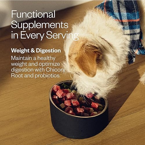 Miniatura 4 de Maev Alimento para perros de carne de res de grado humano, fórmula para peso y digestión, ingrediente entero, sin gluten, alto en proteínas