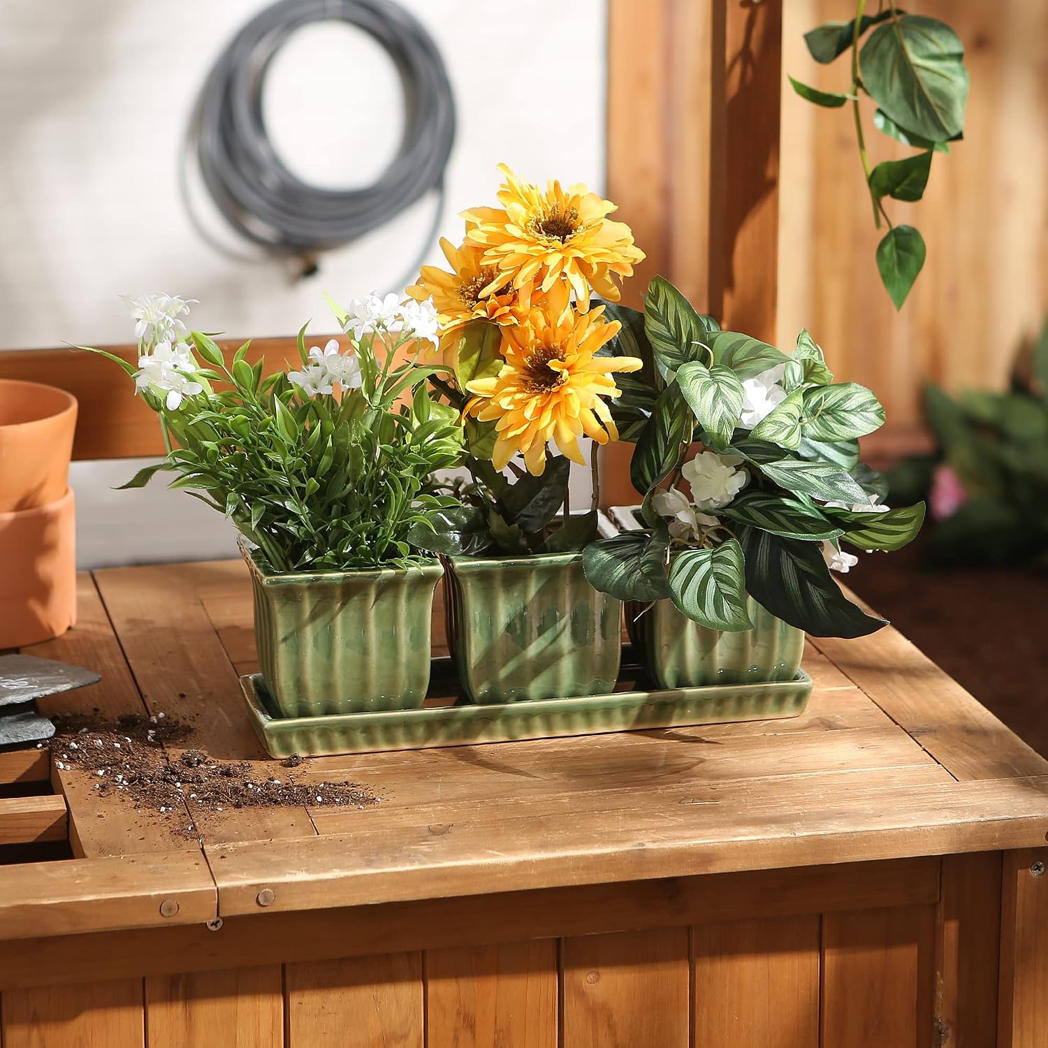 DII Ceramic Planter Collection Herb Pot Set, Green Square, 12x4x4