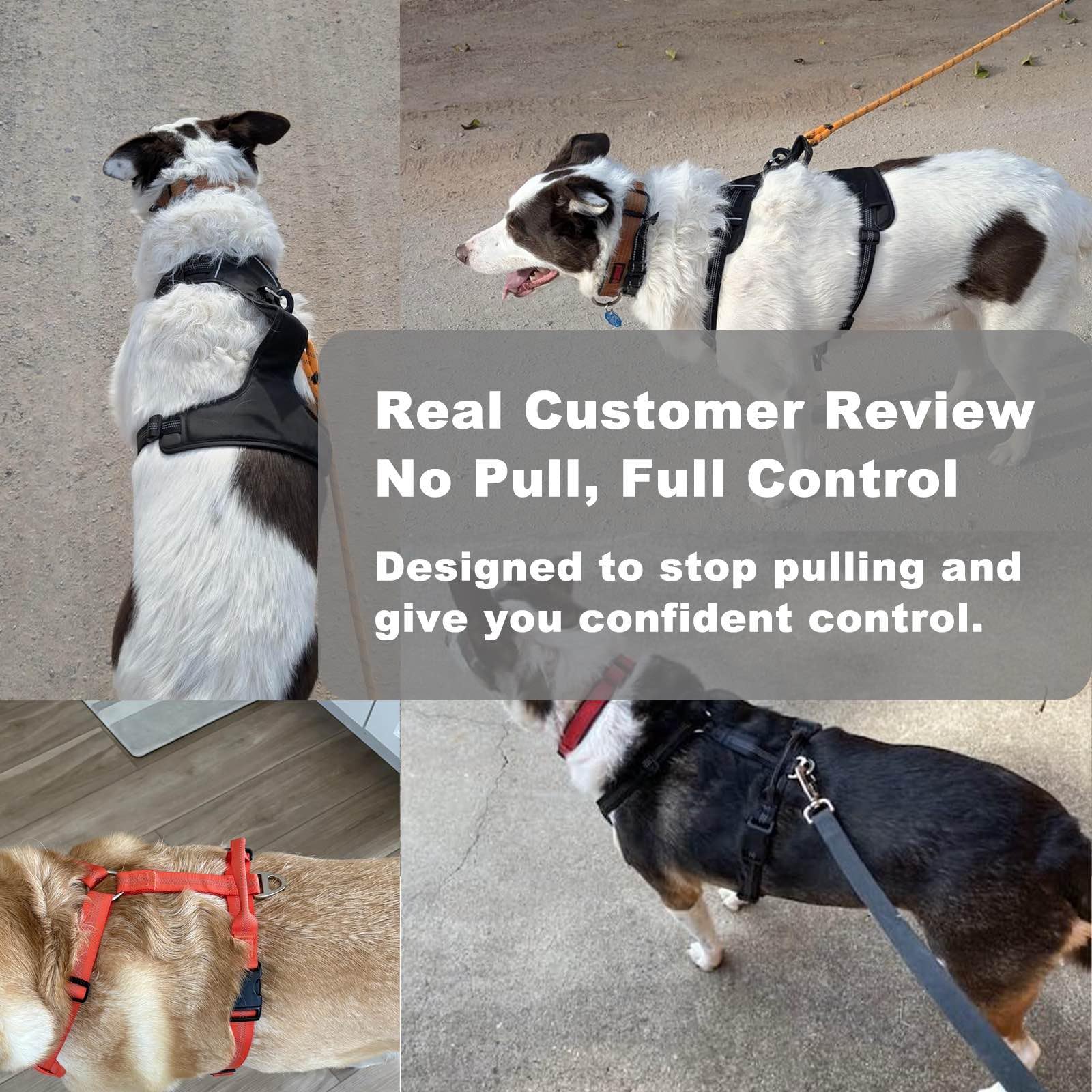 No Pull Dog Harness for Medium Dogs, Adjustable, Reflective Breathable Padded Vest with 2 Metal Leash Clips and Handle for Control or Car Seatbelt Use, Black, M - image 3