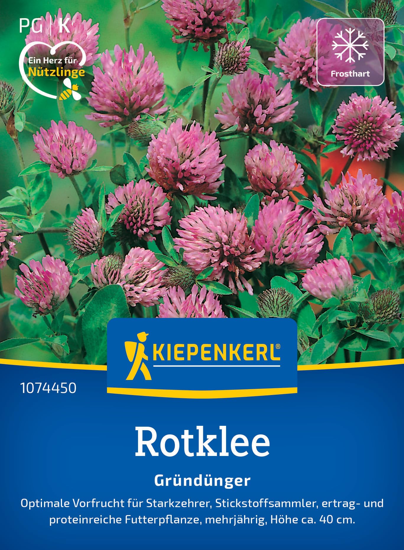 Kiepenkerl Rotkleesamen Wiesenklee 1074450 - Blumensamen für einen mehrjährigen Gründünger mit einer Wuchshöhe von ca. 40 cm - Pflanzen, Saatgut