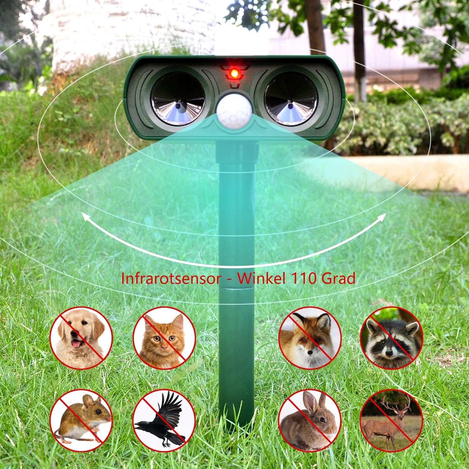Solar-Katzenschreck Mit Bewegungsmelder & Ultraschall – Vertreibt Katzen, Hunde & Co. Wetterfest Aus Dem Garten