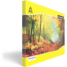 Classmate Drawing Book - Unruled, 40 Pages, 210 mm x 297 mm - Pack Of 4