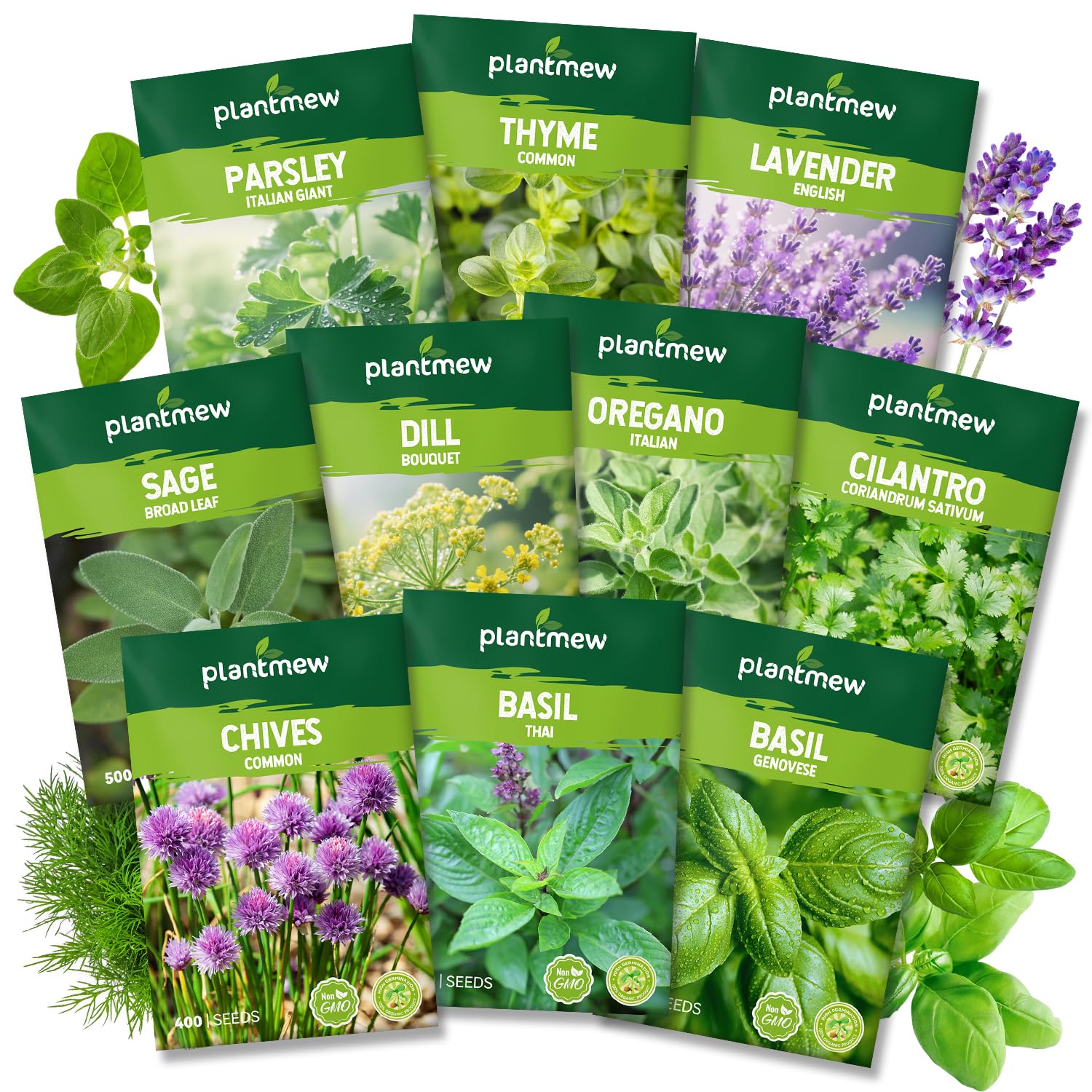 PLANTMEW 10 Herb Seeds Variety Pack - 7,000+ Heirloom Non-GMO