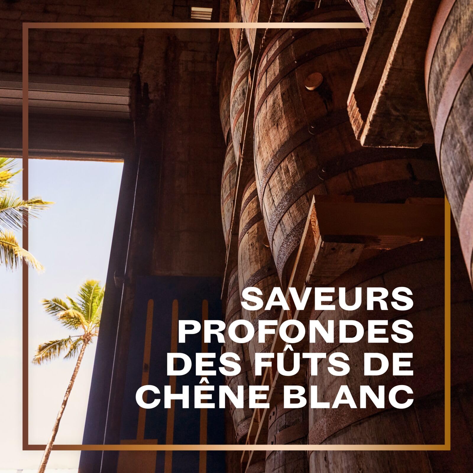 BACARDÍ Gran Reserva 10 Ans Premium Caribbean Rum, 40% vol., 70 cl/700 ml, 10 ans de maturation en fûts de chêne sous le soleil des Caraïbes