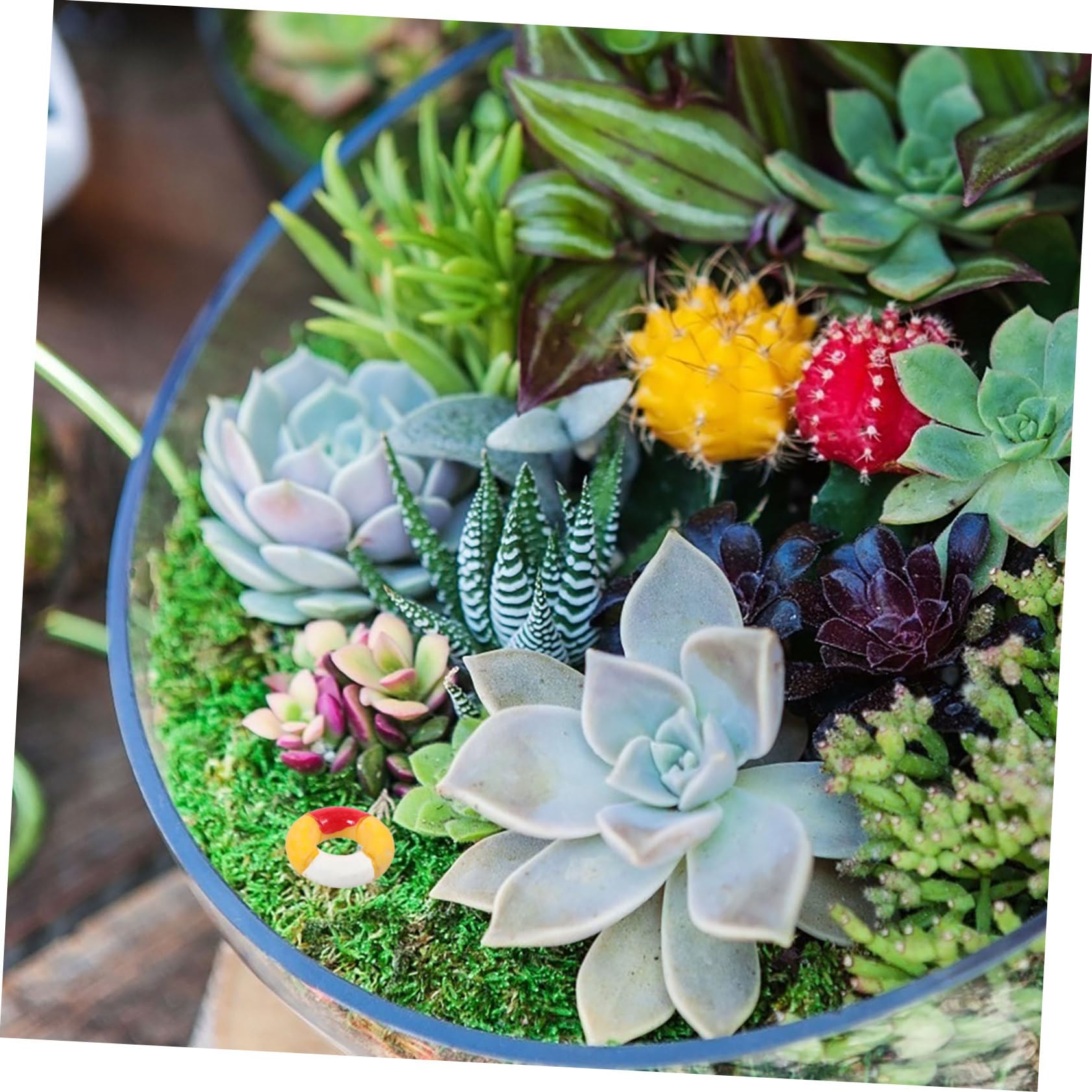 Mikikit Mini Swim Ring Ornaments Set 10pcs Tiny Swim Rings Cartoon Decor Boys and Girls' Small Floaties for Bathtub Pool DIY Mini Houses