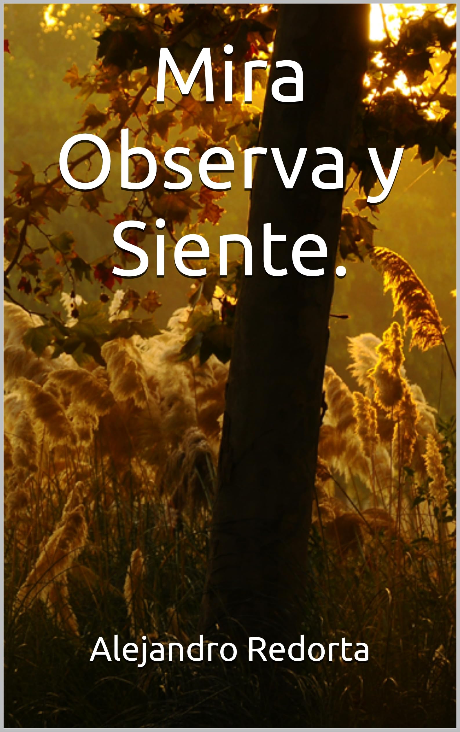 Mira Observa y Siente livre espagnol broché d'éveil sensoriel