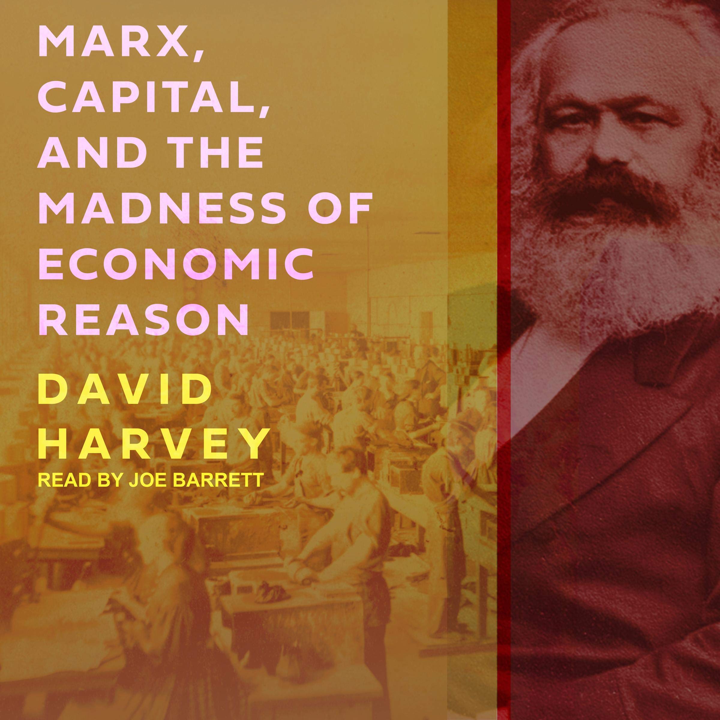 Cover art for Marx, Capital, and the Madness of Economic Reason