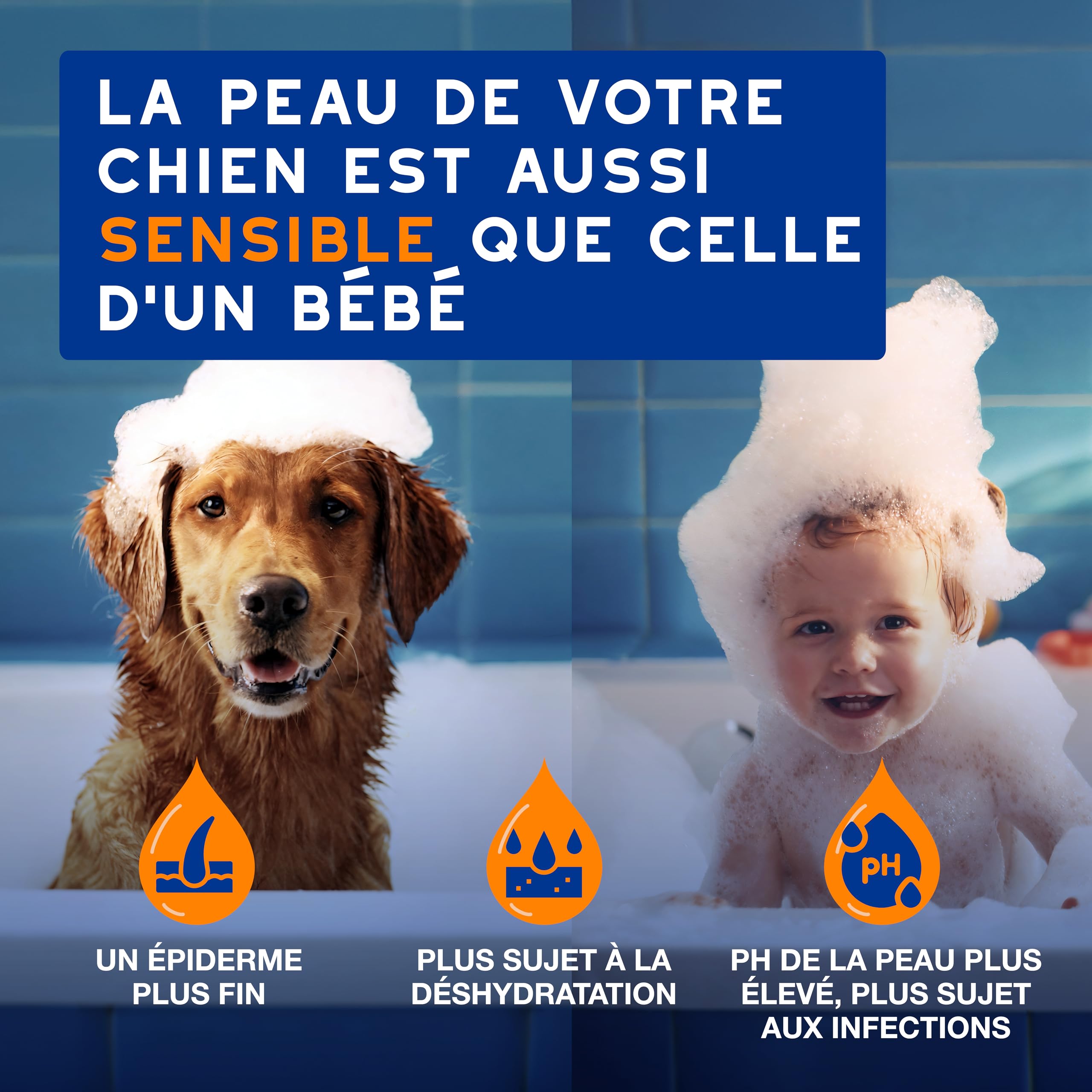 DOUXO Skin & Coat Spa - Ultra-Safe Spray démêlant pour Chiens, 340mL, démêle et nourrit Le Pelage en Toute sécurité, Laisse Le Pelage Doux, Soyeux et sans Noeuds, Formule respectueuse de la Peau.