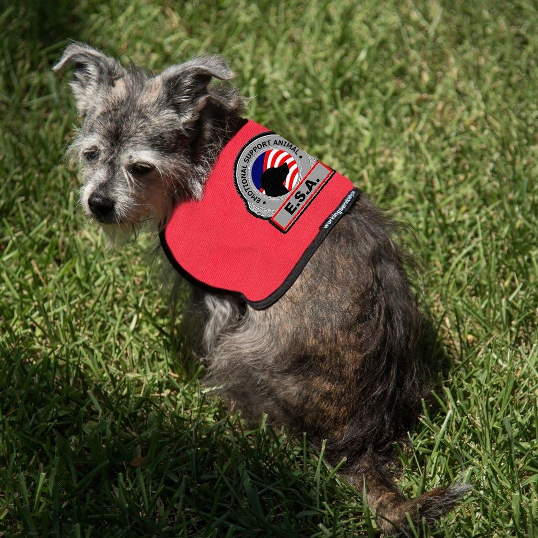 Premium ESA Dog Vest - for Smaller Emotional Support Animals (7-11 Pounds, Red) - Includes 5 Federal Law ESA Handout Cards