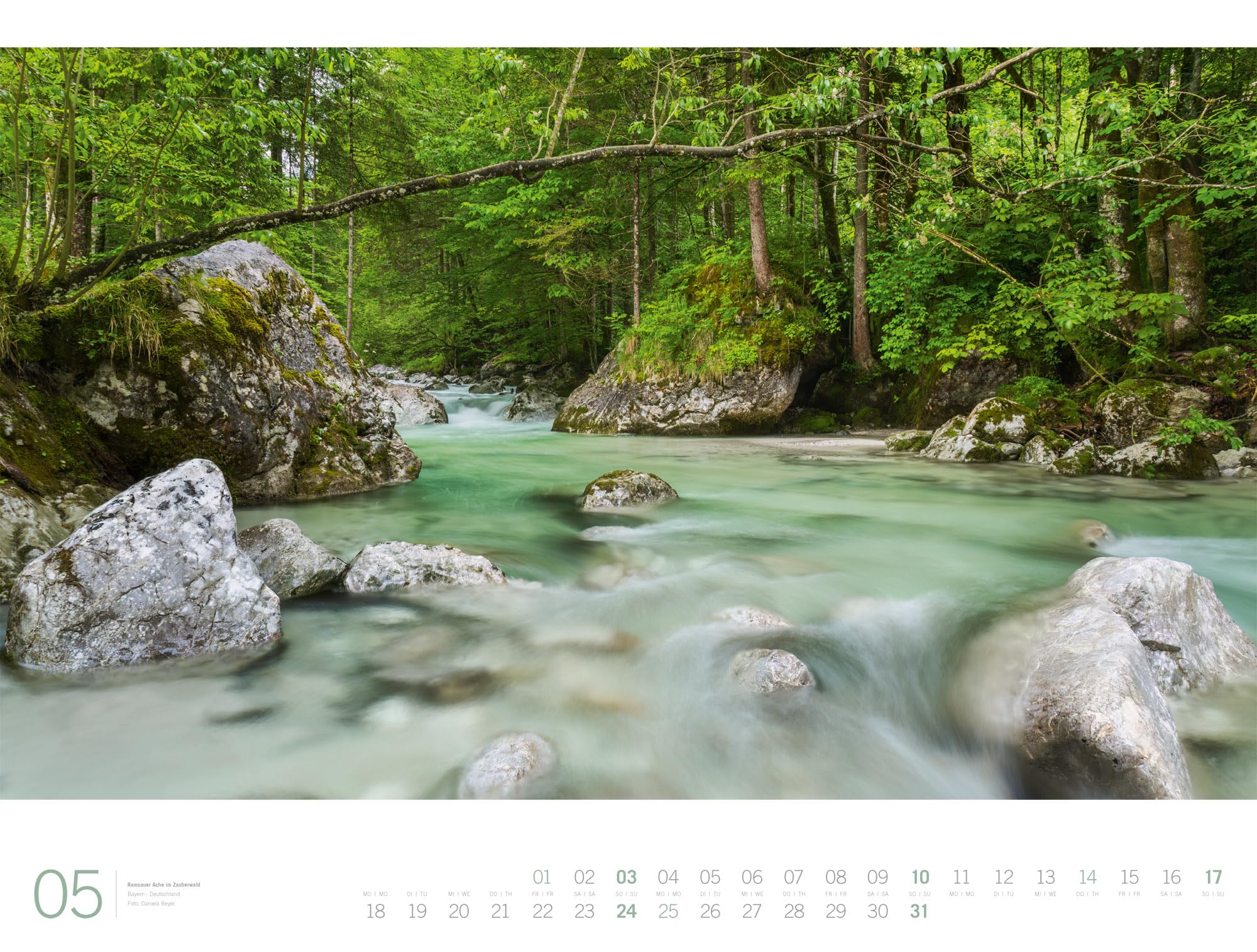 Wald Gallery Kalender 2026 | Geschmackvoller Natur-Kalender im großen Querformat (66x50 cm) | Wälder und Bäume im Großformat