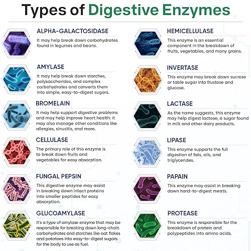 Miniatura 5 de Digestive Enzymes 1000MG Plus Suplemento de prebióticos y probióticos, 180 cápsulas, fórmula vegana orgánica a base de plantas para una mejor