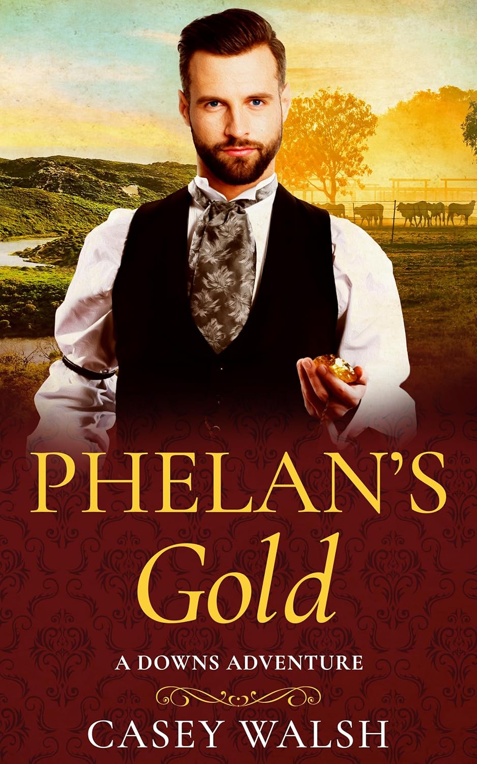 Phelan's Gold A Downs Adventure (The Downs Series Book 2) eBook