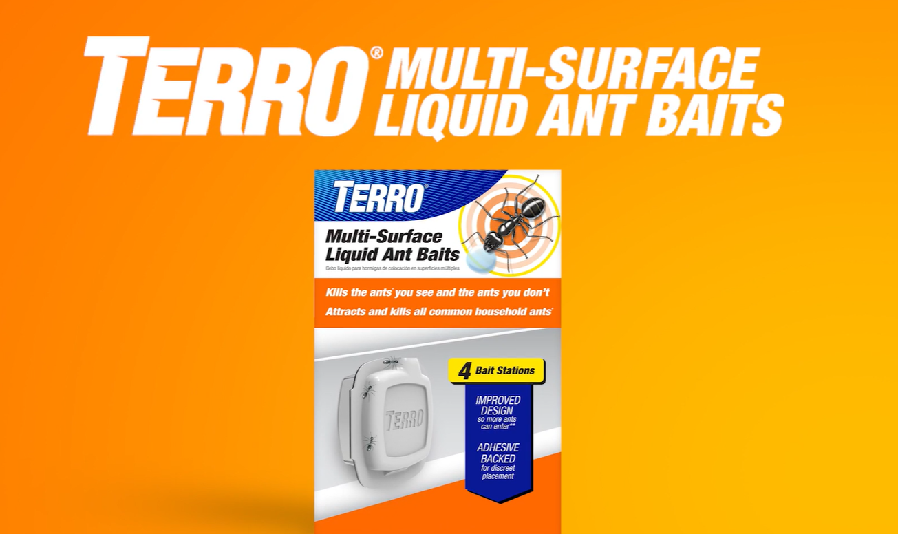 Watch TERRO Multi-Surface Liquid Ant Baits on Amazon Live