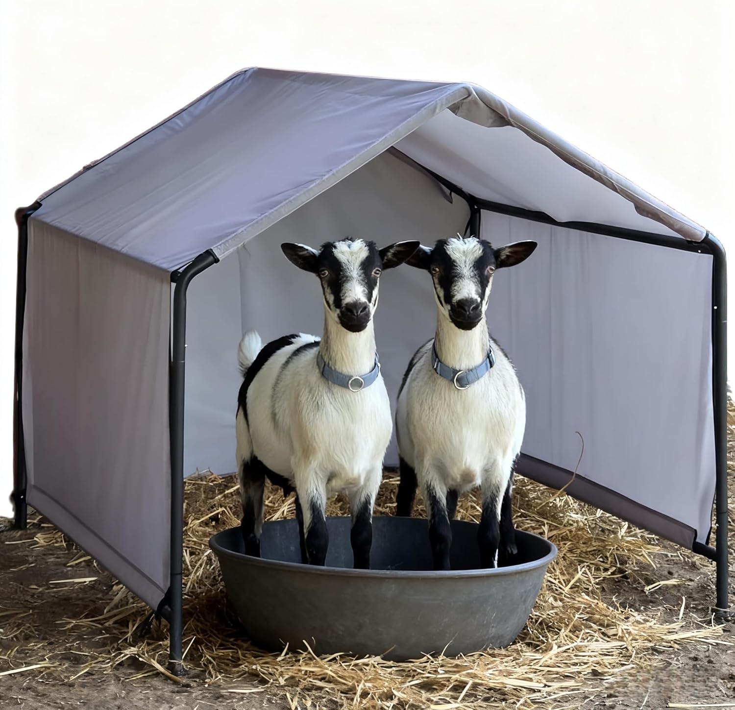 Goat Shelter for Outside, Portable Goat House & Livestock Shelter for Goats, for 2 Goats, 49×49×43 in (125×125×110 cm), 3-Side Windbreak Panels, Metal Frame with Ground Stakes, Backyard/Pasture Shade