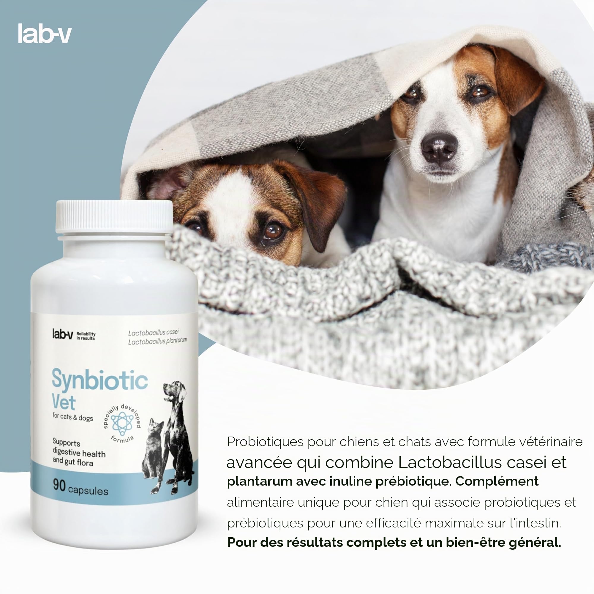 Lab-V Synbiotic Vet Probiotiques pour chiens et chats, 90 gélules probiotiques digestives pour chiens et chats avec prébiotiques, suppléments pour chien et chat, ferments lactiques, intestin santé