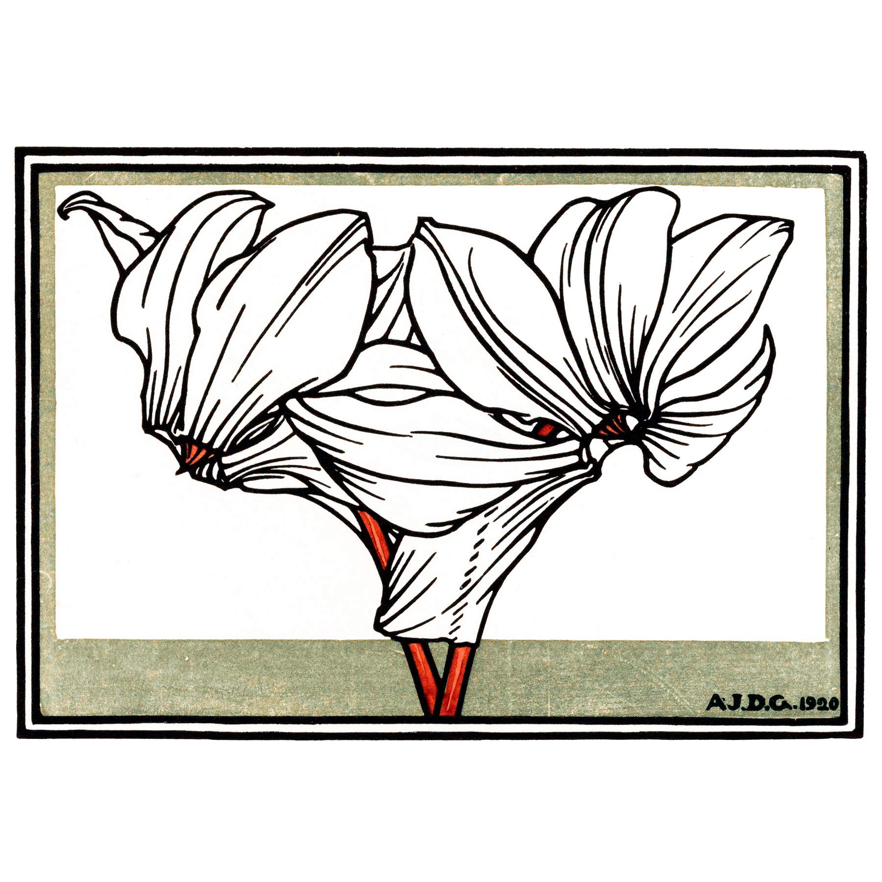 Wee Blue Coo Cyclamen Julie De Graag Art Print Poster Wall Decor