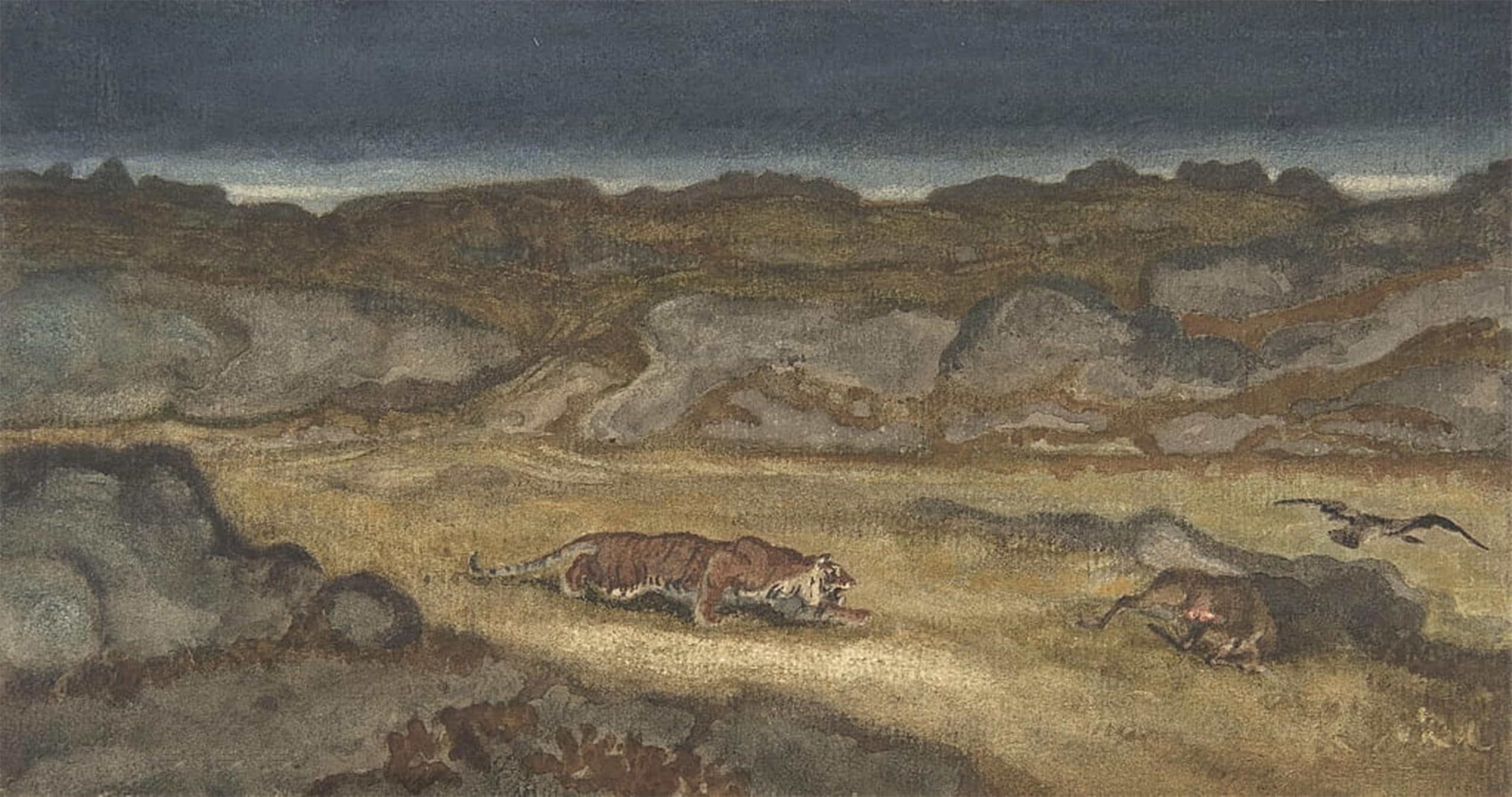 Lienzo Tiger stalking preda Antoine Louis Barye mural decorativo 60x90cm 5