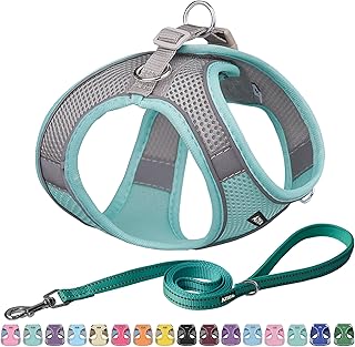 AIITLE Anti-Pull Dog Harness, Adjustable Dog Harness with Padded Vest, Easy to Carry on Small to Medium Dogs, Turquoise S product image