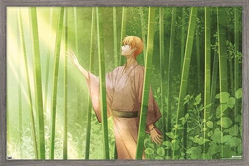 Trends International Cesta de frutas - Póster de pared de Kyo Soma, 14.725 x 22.375 pulgadas, versión enmarcada de madera de granero