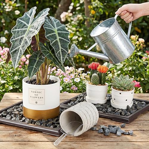 Miniatura 3 de Pinkunn 6 Piezas Bandejas de Humedad para Bonsái, Bandeja de Goteo de Plástico para Plantas, Atrapadores de Agua, Platillos para Plantas para