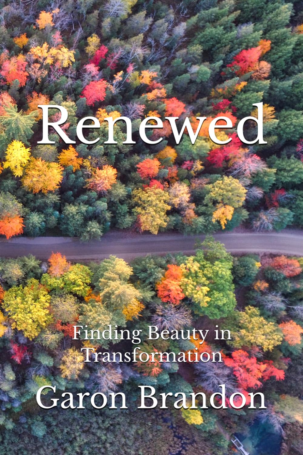 Renewed: Finding Beauty in Transformation