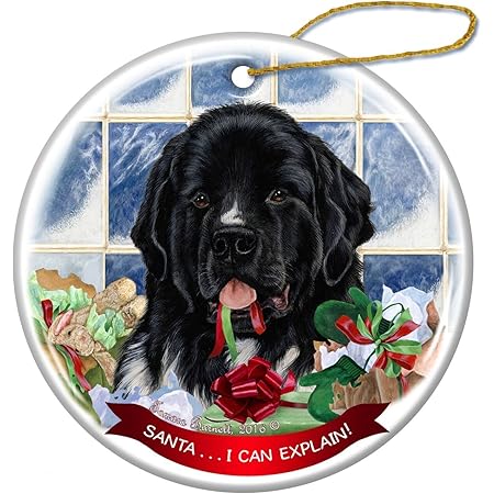 newfoundland dog items