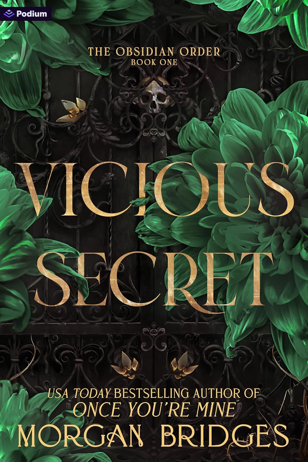 Vicious Secret: A Dark Romance (Obsidian Order)
