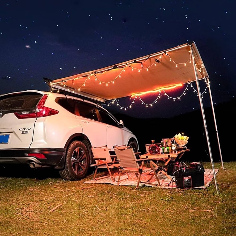 81caLDIfV7L._AC_UF1000,