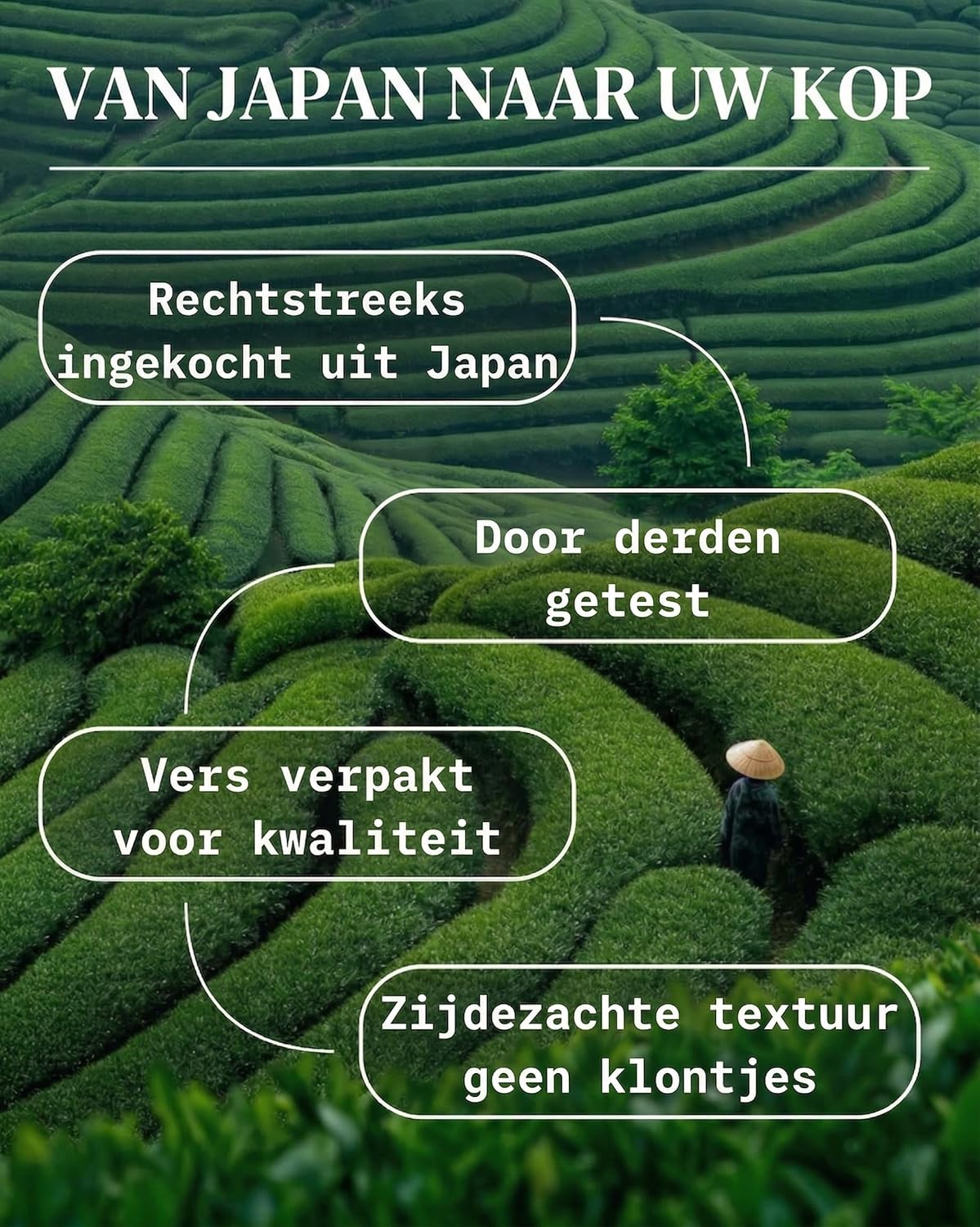 Vue 3