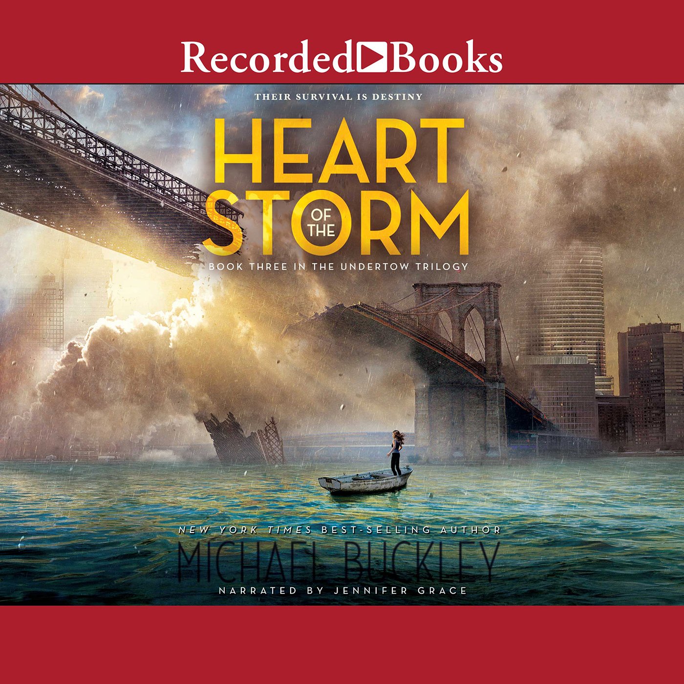Cover art for Heart of the Storm