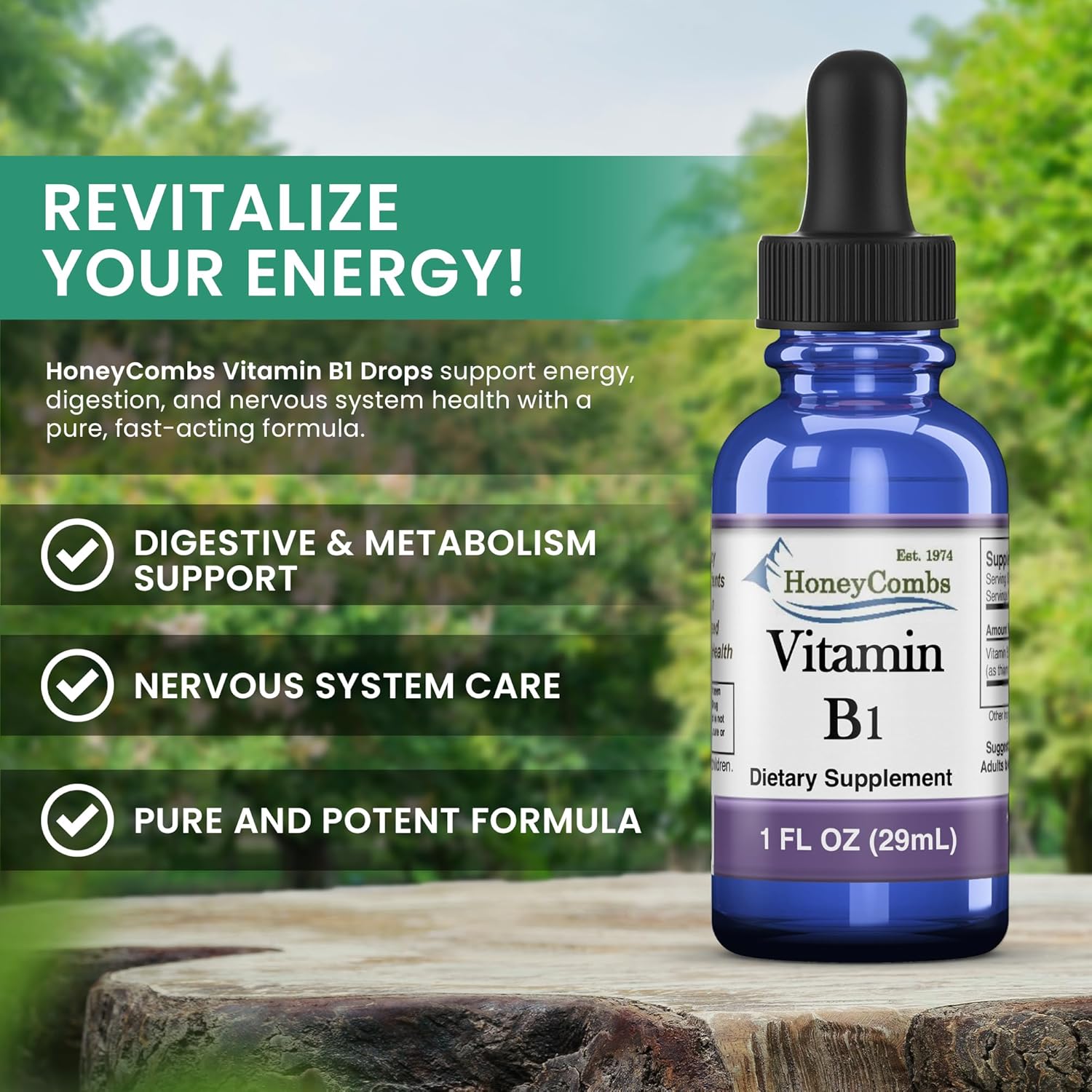HoneyCombs Vitamin B1 Supplement (Thiamine) Liquid Drops - High Potency Thiamine B1 Supplement for Men & Women - Maintain Nervous System, Energy & Overall Health - Vegan Liquid B Vitamins (8 Fl oz)