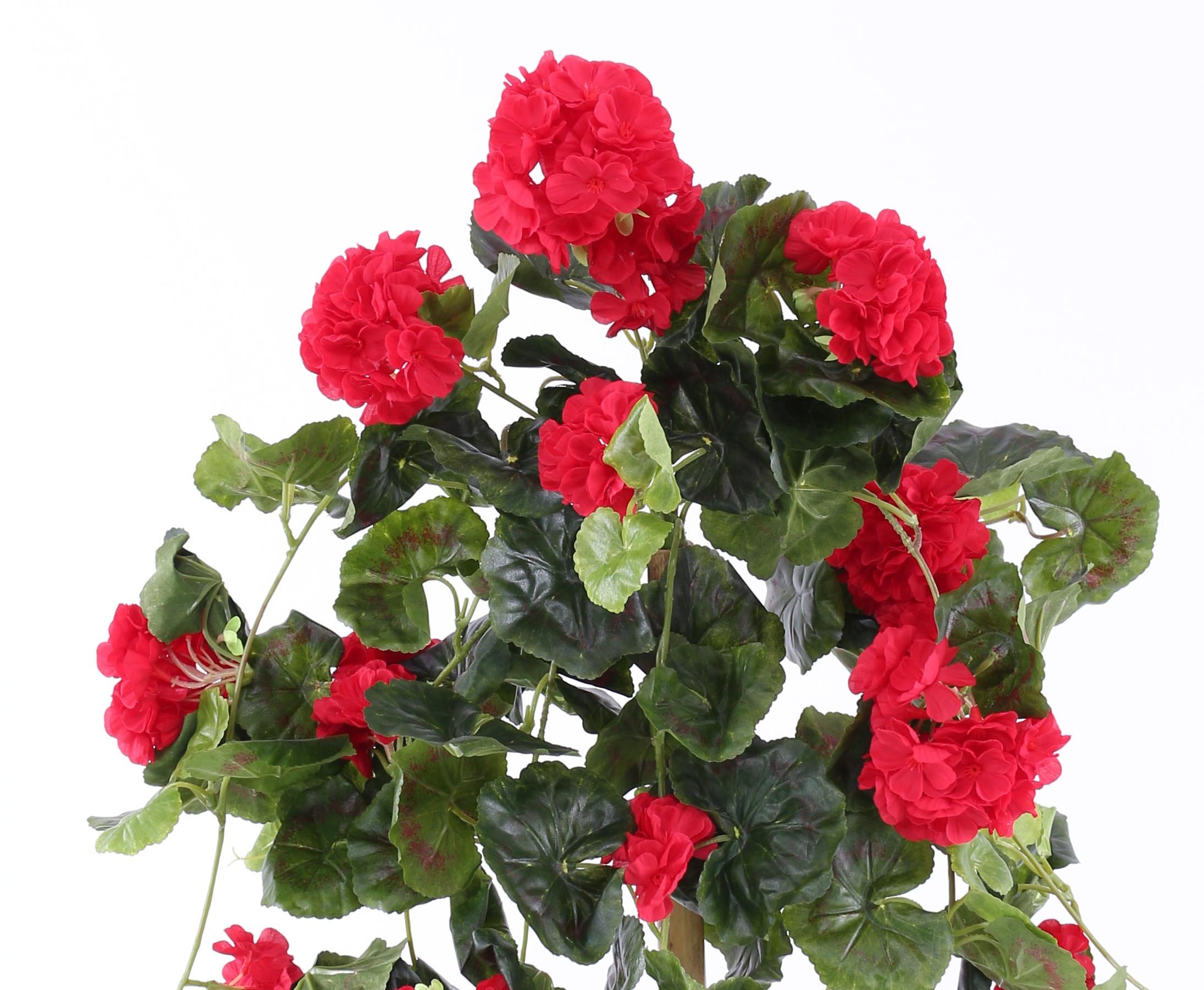 Amazon.de: Kunstblume Geranie hngend mit 22 roten Blten und 128 Bltter,  70cm - Knstliche Hngegeranie Pelargonien Kunstpflanze zum Stecken