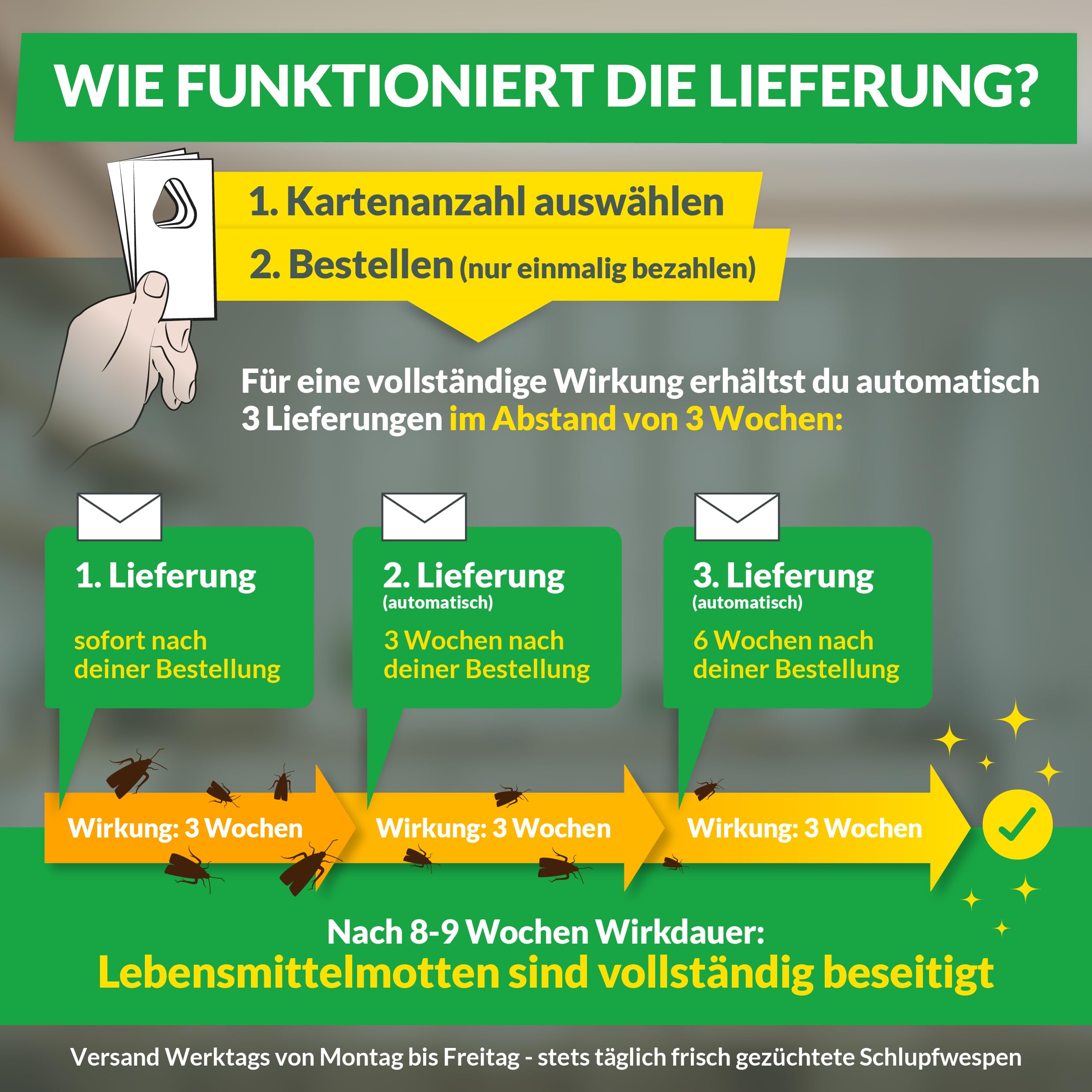 Hey Nature® Schlupfwespen gegen Lebensmittelmotten, 9 Karten (3 Karten à 3 Lieferungen). Effektiv Lebensmittelmotten bekämpfen mit Schlupfwespen gegen Motten. Alternativ zu Mottenkugeln & Mottenspray