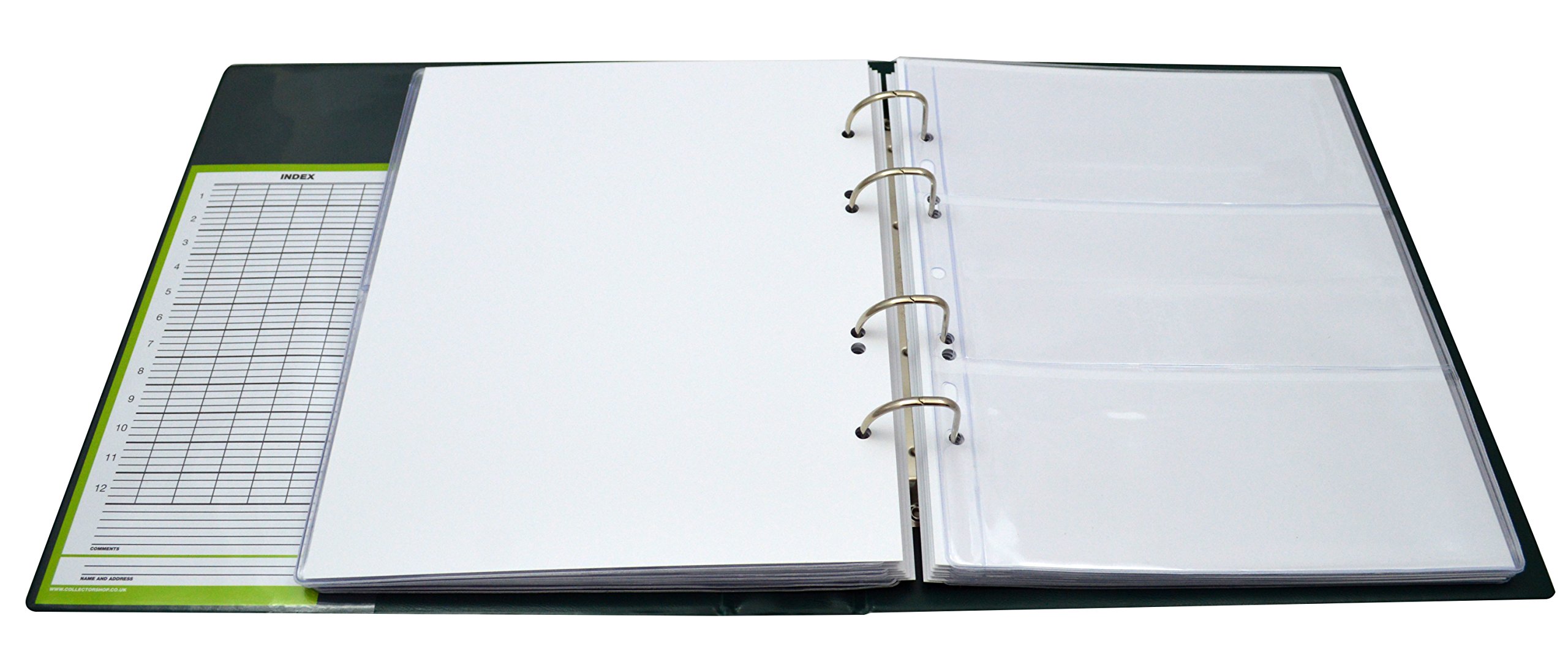 COLLECTOR - Album con custodia per banconote, 10 pagine e 10 divisori, capacità molto ampia (Verde)