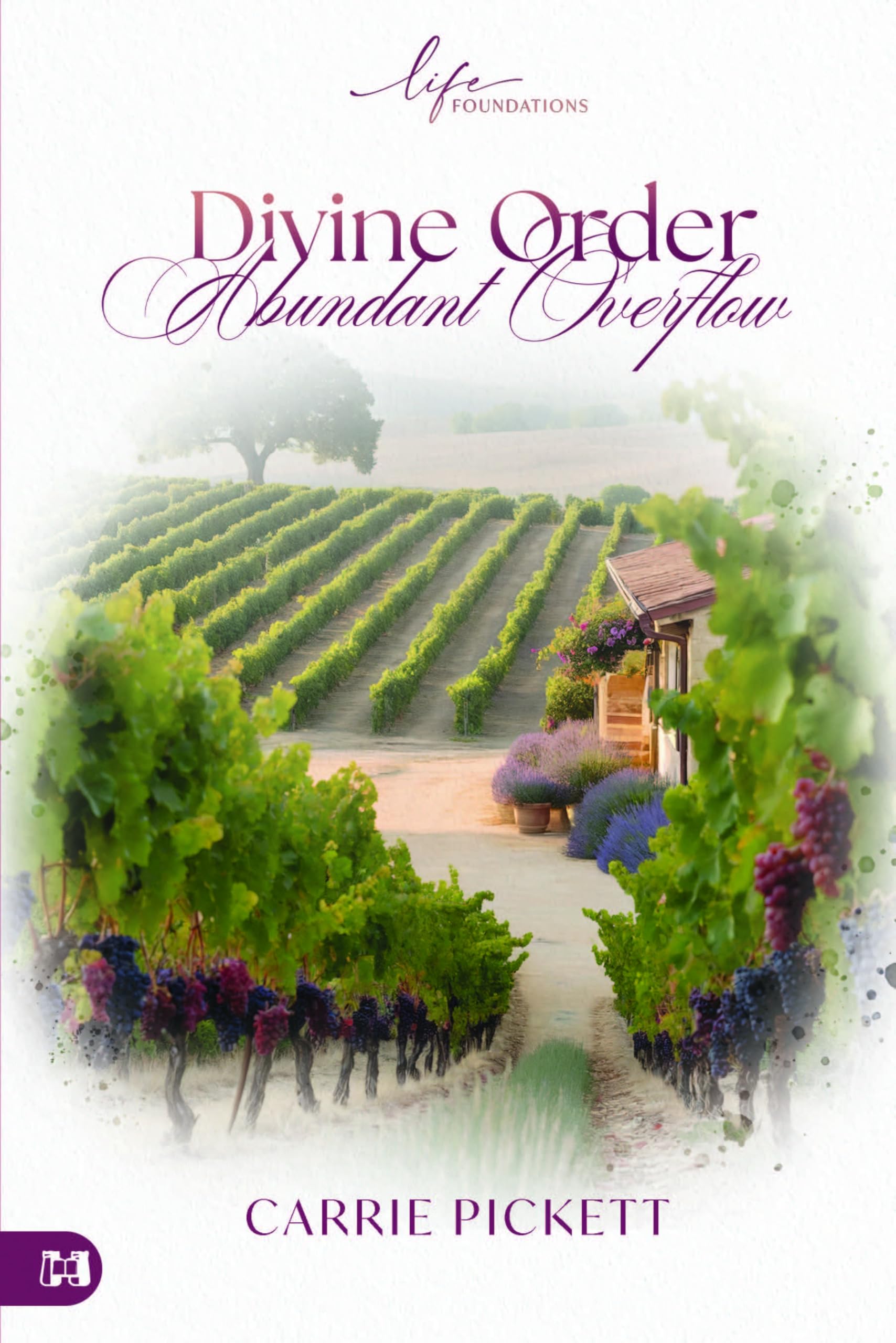 Divine Order, Abundant Overflow (Life Foundations Series)