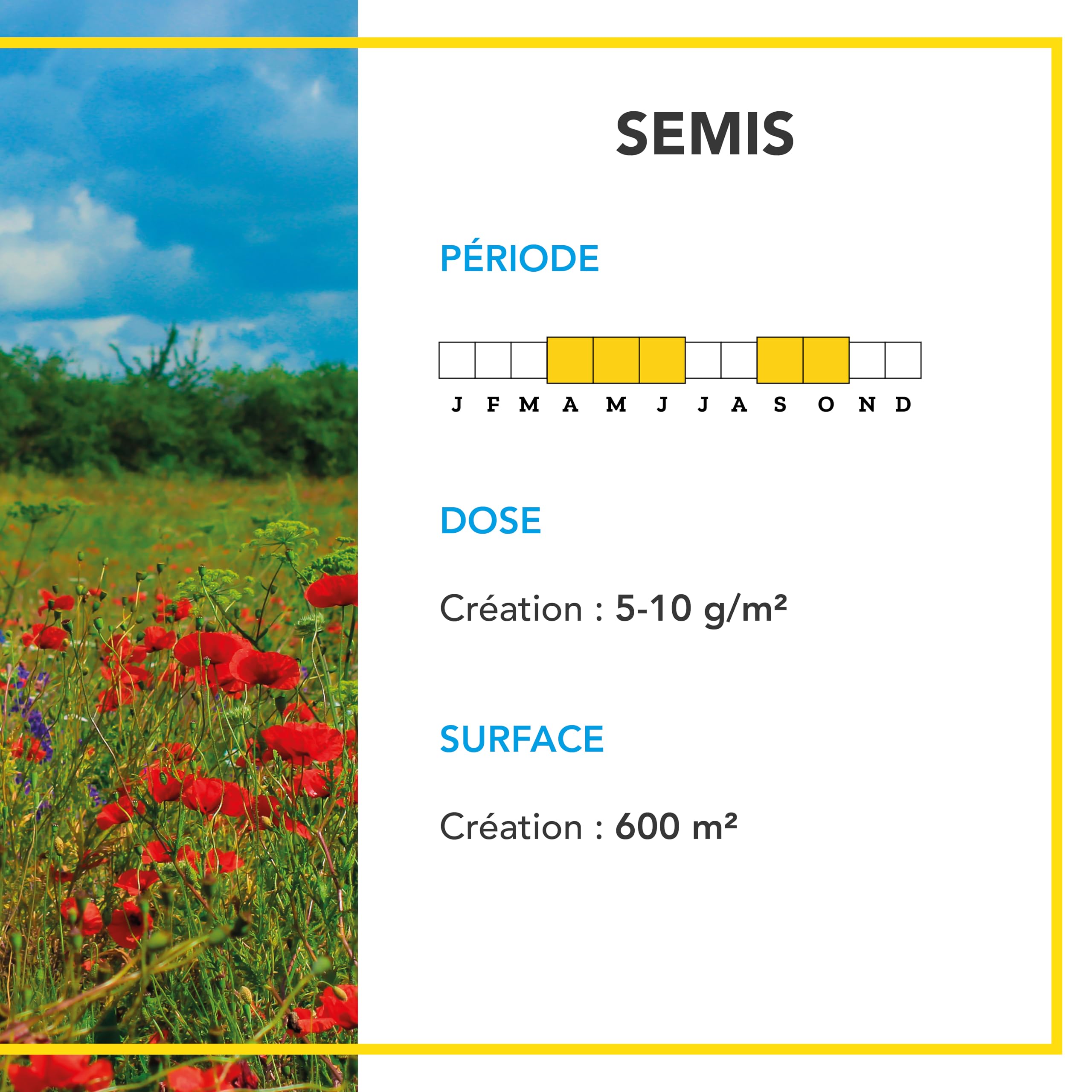 BARENBRUG - Prairie Vivace Biodiversifiée BIO - Facile à Installer - 3KG | Favorise la Biodiversité - Peu d'Entretien - Refuge Naturel pour la Faune - Fabriqué en France