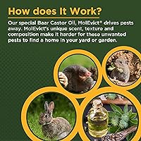 Vista 3 de Aceite de castor, MolEvict, 32 onzas.