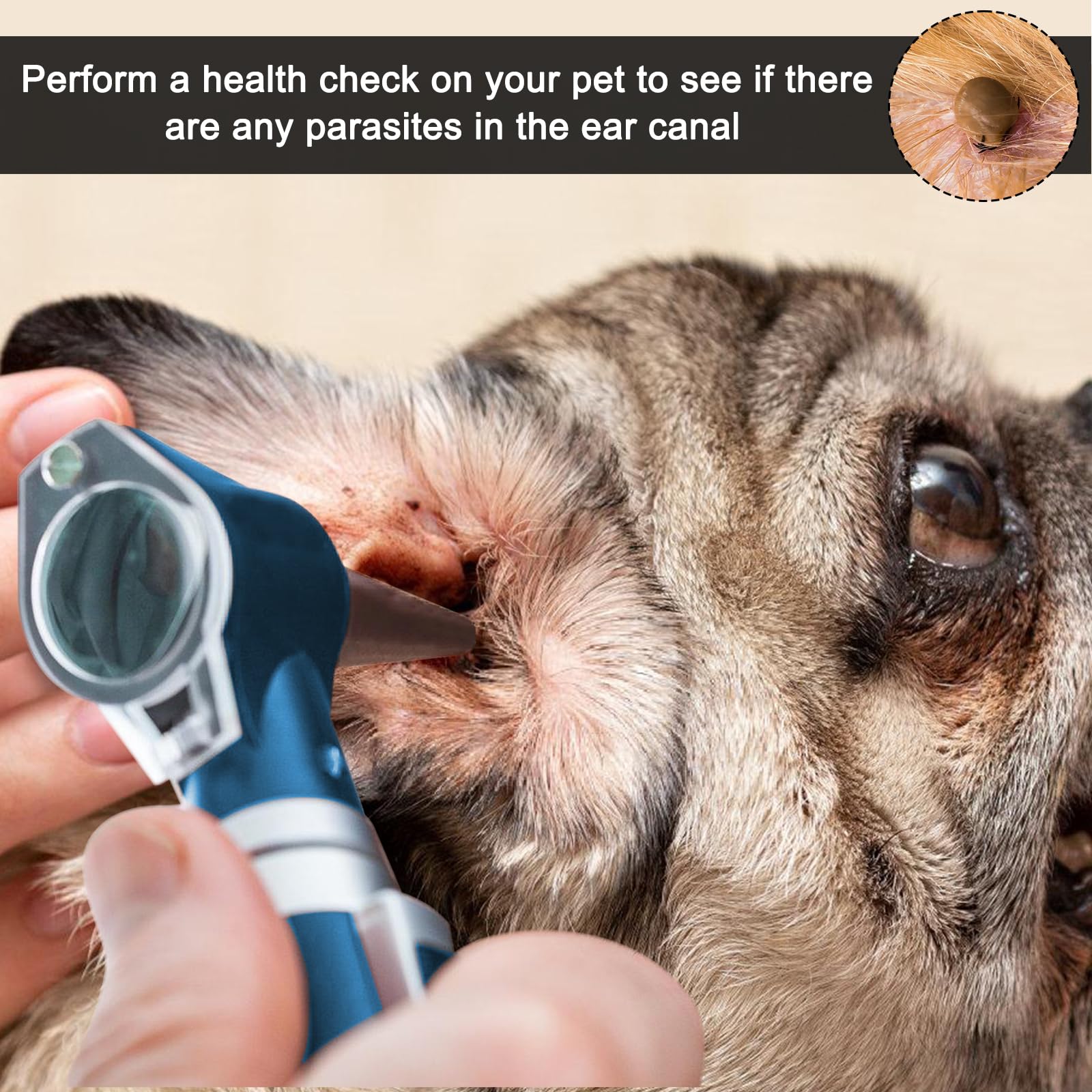 Otoscope Avec Lumière, Stéthoscope Auriculaire De Luminothérapie, Otoscope De Poche Avec étui En Plastique Rigide, Otoscope De Diagnostic, Adapté Aux Adultes, Médecins Et Animaux De Compagnie (Bleu)