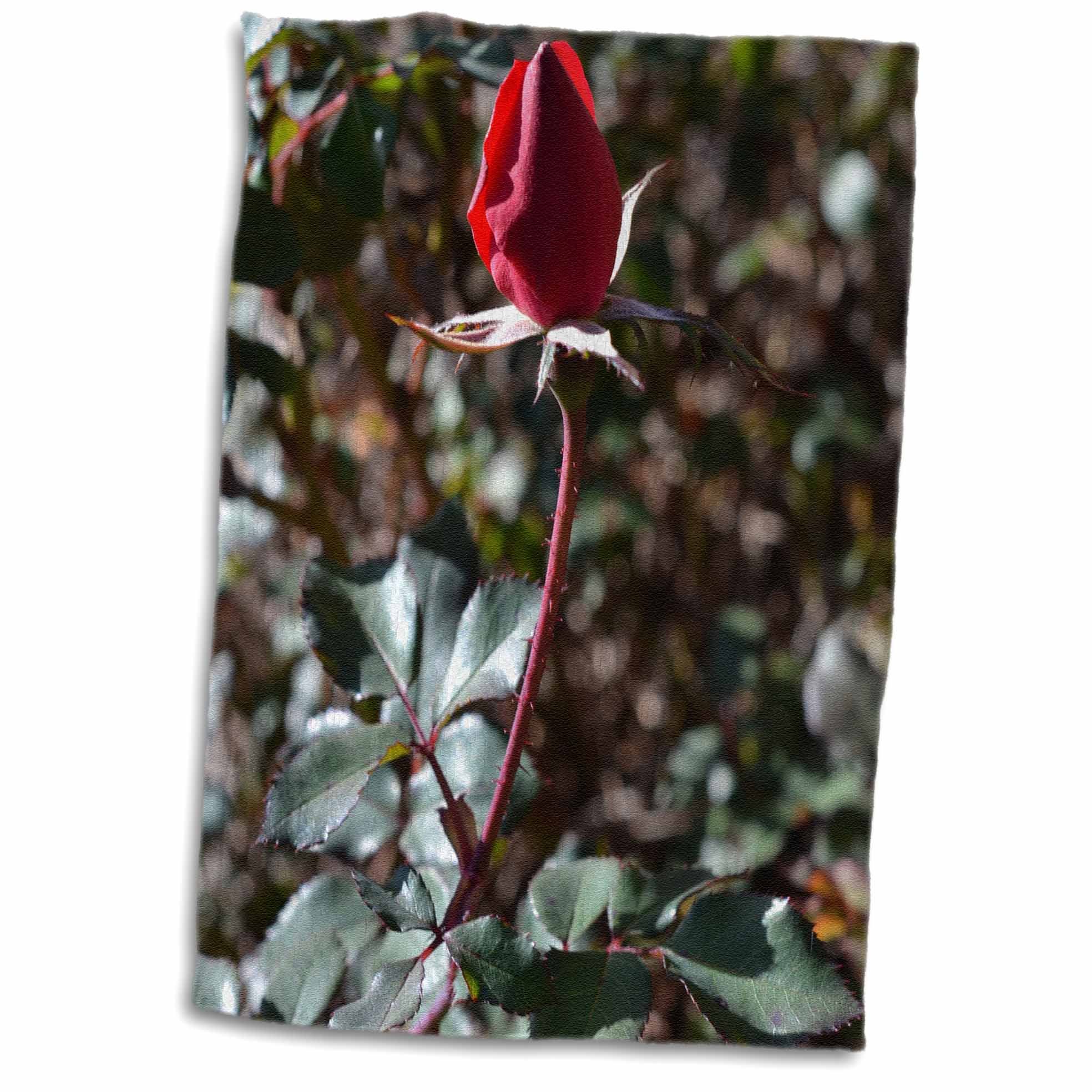 3dRoseWhiteOak Photography Rose Prints - A Red Rose Bud - Towels (twl-34618-1)