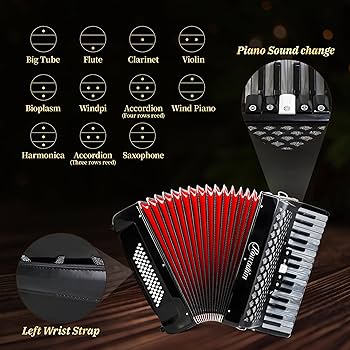 TOSCANO アコーディオン (A164) Toscano Accordion A164 | eBay