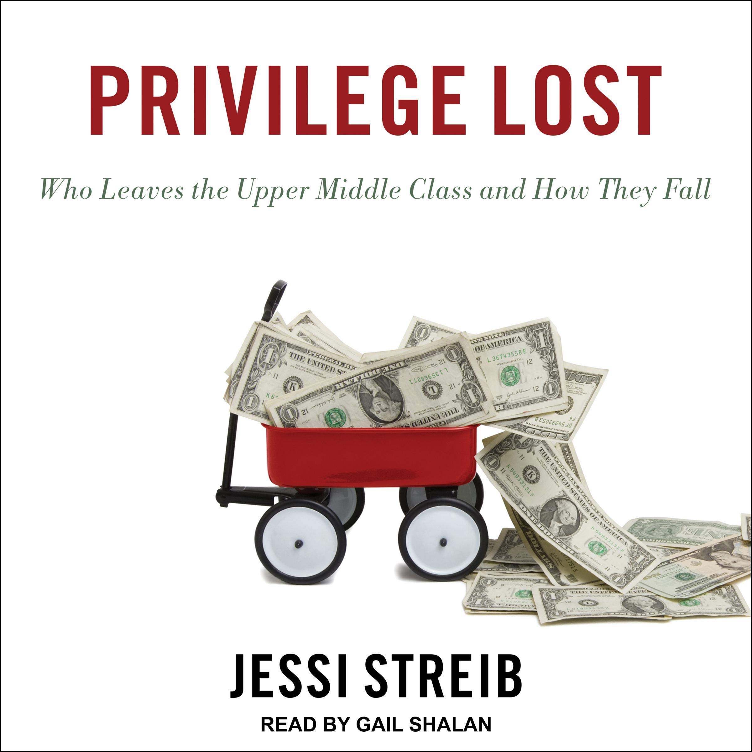 Cover art for Privilege Lost