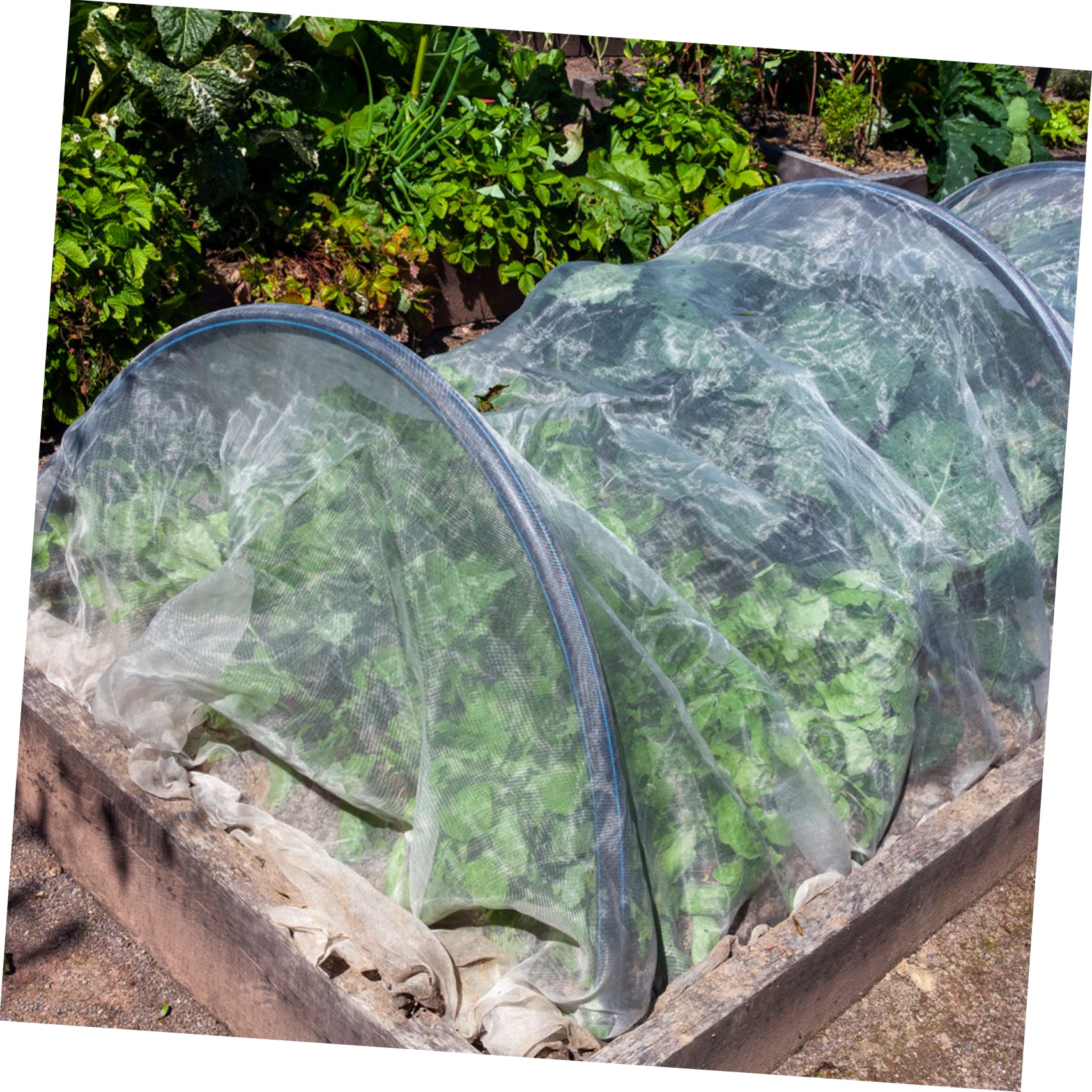 Rete Antinsetti da Giardino Set, Polietilene e Fibra di Vetro | Protezione Temporanea per Frutteti e Colture, Uso in Giardino e Serra, Kit Copertura e Cerchi
