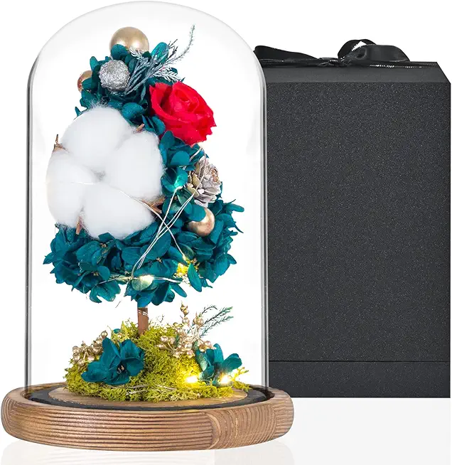 DuHouse Forever Rose in Box Preserved Roses Flower...